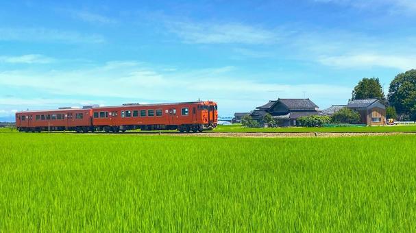 夏の田園風景と鉄道(富山・南砺市):4 夏の田園風景と鉄道(富山・南砺市):4 ローカル,鉄道,城端線の写真素材