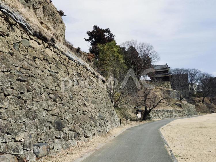 上田城尼ヶ淵と南櫓3 上田城,上田城跡公園,城の写真素材