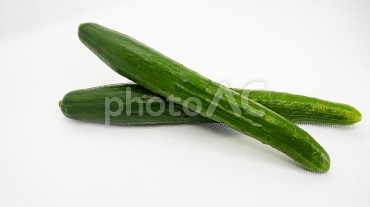 きゅうり きゅうり,キュウリ,野菜の写真素材