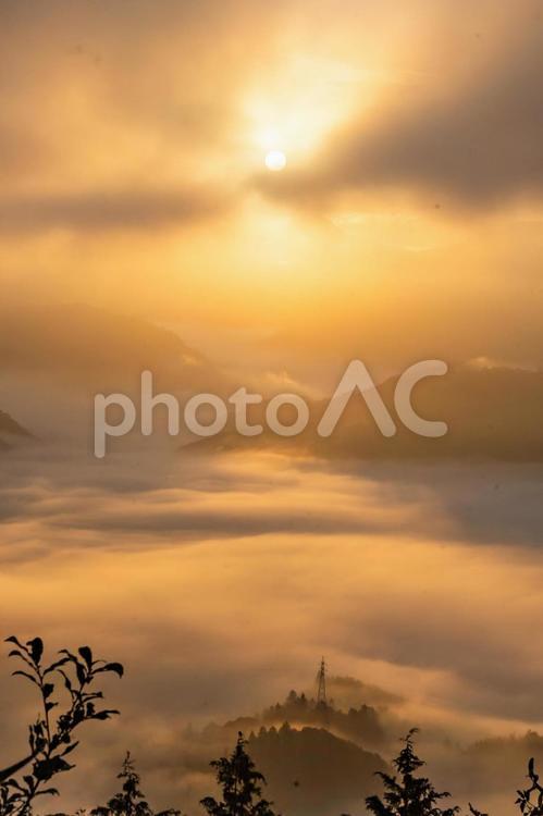 朝日に照らされる雲海　縦画像 雲海,山々,朝日の写真素材