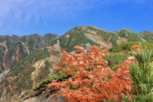 北アルプス大日岳紅葉登山 北アルプス大日岳紅葉登山 北アルプス,立山,大日岳の写真素材