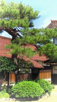 島根県-津和野藩校養老館 島根県-津和野藩校養老館 津和野藩校,養老館,剣術道場の写真素材