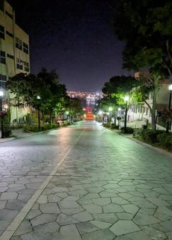 八幡坂　 夜景　 の写真