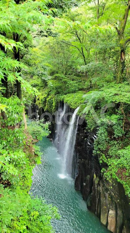 高千穂峡　真名井の滝 宮崎県,高千穂,高千穂峡の写真素材