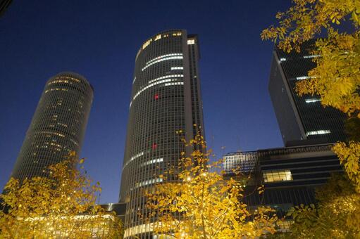 ビルと紅葉のイルミネーション 紅葉,秋,自然の写真素材