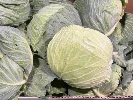 キャベツ スーパーマーケット,スーパー,食料品売り場の写真素材