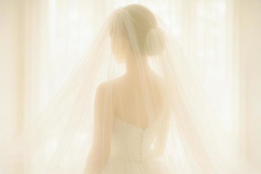 ベール越しのやわらかい光の写真