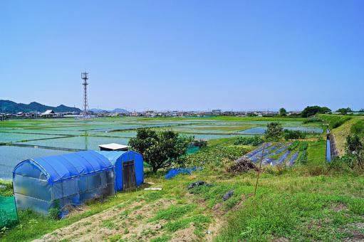 田舎の風景 田んぼ,自然,道路の写真素材