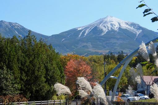 雪化粧と紅葉が始まった十勝岳連峰2 雪化粧と紅葉が始まった十勝岳連峰2 美瑛,白ひげの滝,十勝岳連峰の写真素材