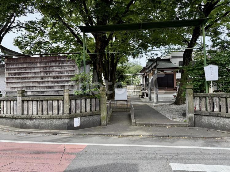 豊島区　池袋　大鳥神社　正門 正門,神社仏閣,狛犬の写真素材