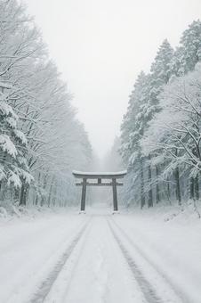 雪道と鳥居の風景 雪道と鳥居の風景の写真