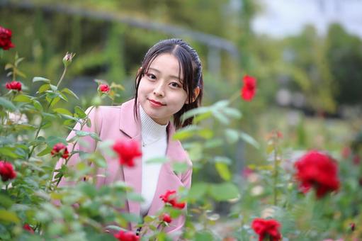 バラの花を楽しむ若い女性 女性,20代,バラ園の写真素材