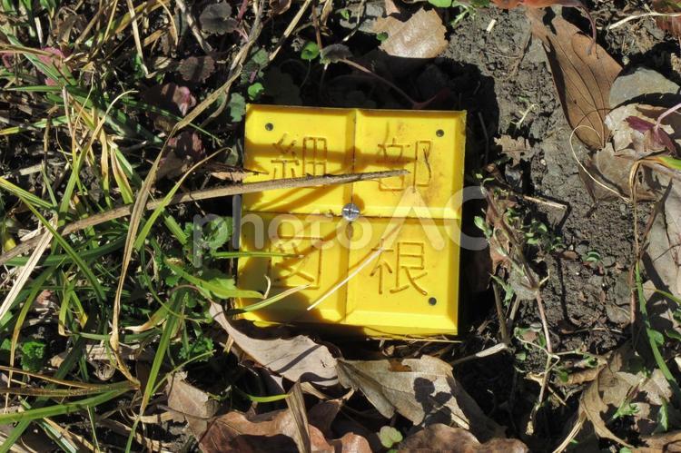 山林の片隅に埋めてある細部図根標識 標識,測定,細部図根の写真素材