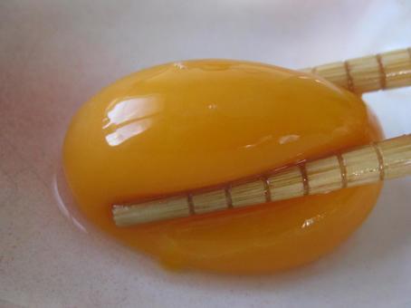 たまご タマゴ 卵 たまご タマゴ 卵 生卵,タマゴ,生玉子の写真素材