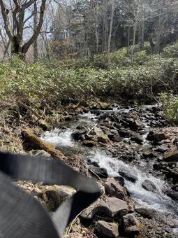 尾瀬の山道に流れる渓流 尾瀬,渓流,河の写真素材
