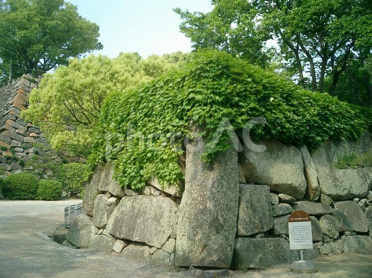 岡山城内下馬門跡の石垣 岡山城,岡山,岡山県の写真素材