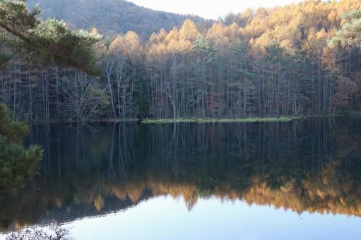 静寂 御射鹿池,朝,静寂の写真素材