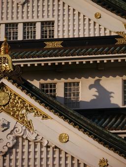 夕日に照らされる大阪城のアップ 大阪城,城,大阪市の写真素材