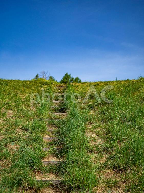 古墳に続く芝生の階段 古墳,小道,癒やしの写真素材