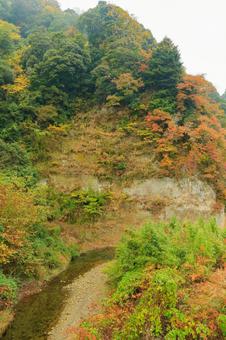 養老渓谷 養老渓谷,紅葉,秋の写真素材