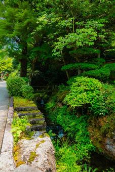 【岐阜】伊奈波神社 2025 【岐阜】伊奈波神社 2025の写真