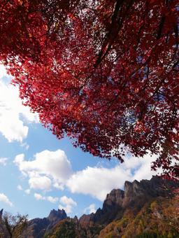 背景に合う妙義山と紅葉 妙義山,紅葉,黄葉の写真素材