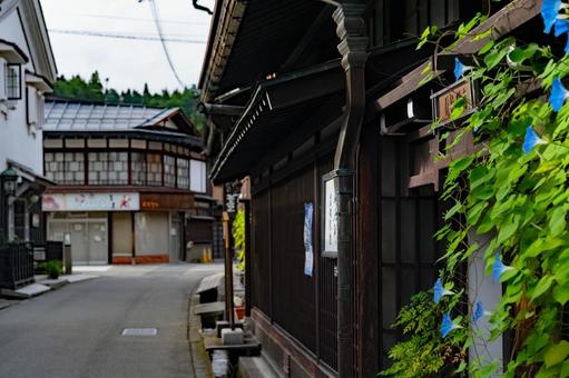 朝顔と高山市の古い町並み 朝顔と高山市の古い町並みの写真