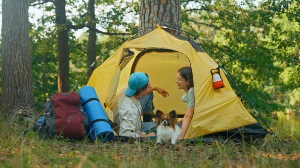 テントでくつろぐ男女 男女,外国人,パピヨンの写真素材