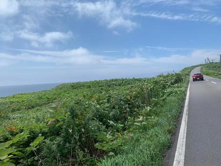 海沿いの道を行く 海,道路,ドライブの写真素材