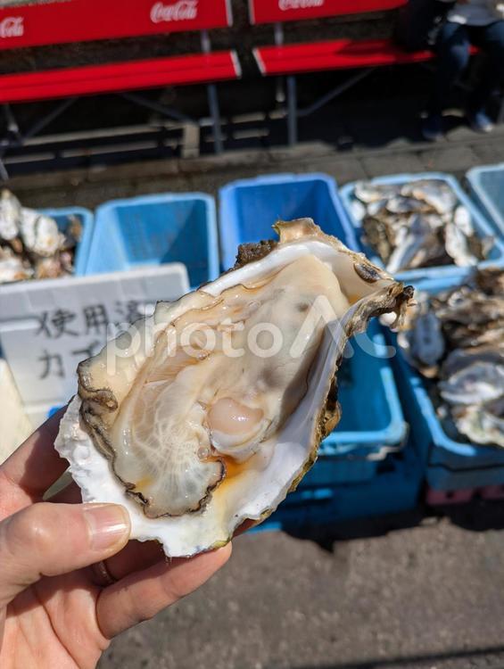 魚市場　生食牡蠣 那珂湊,おさかな市場,茨城の写真素材