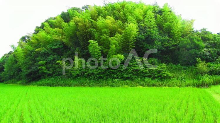 田舎の風景 田舎,風景,自然の写真素材