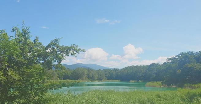 五色沼③_2025.08 五色沼③_2025.08の写真