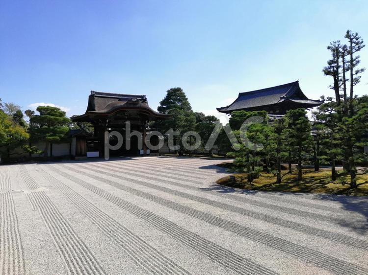 御室仁和寺　京都　右京区 御室仁和寺,京都,右京区の写真素材