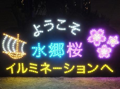 <茨城県>霞ヶ浦総合公園イルミネーション <茨城県>霞ヶ浦総合公園イルミネーションの写真