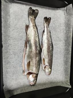 Photo, fish, rainbow trout, before cooking, 
