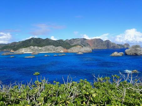 小笠原諸島の海 小笠原諸島,父島,南島の写真素材