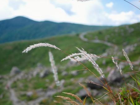 山から見える秋の景色 山から見える秋の景色の写真