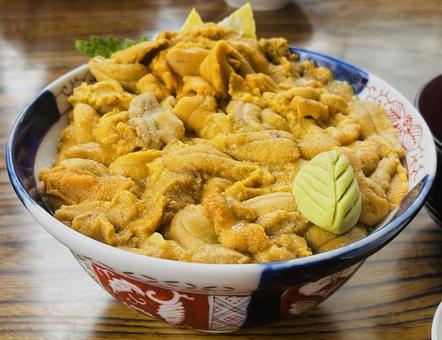 ウニ丼 2025 ウニ丼 2025 ウニ丼,雲丹,北海道の写真素材