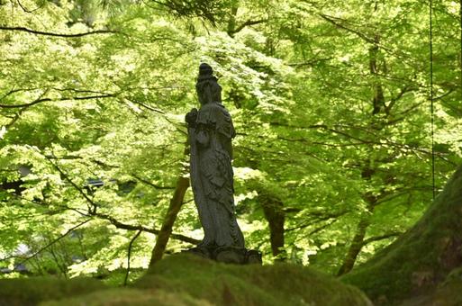 2025年夏の永平寺 木陰の仏像 2025年夏の永平寺 木陰の仏像 木陰,仏様,お堂の写真素材
