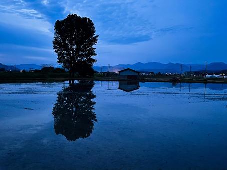 Photo, স্বাভাবিকভাবে, দৃশ্য, মে, 