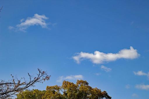 青空に浮かぶ雲3 青空に浮かぶ雲3の写真
