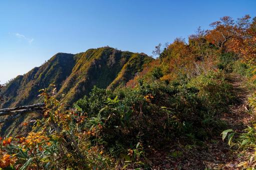 初秋の藤里駒ヶ岳へ続く登山道 初秋の藤里駒ヶ岳へ続く登山道 秋田県,白神山地,藤里駒ヶ岳の写真素材