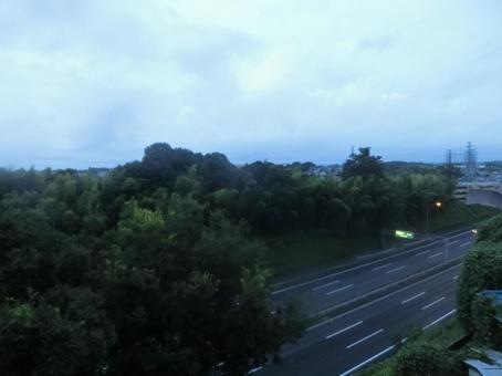 朝靄 朝靄,早朝,道路の写真素材