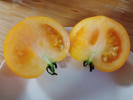 黄色いトマト真っ二つ 黄色い,黄色,トマトの写真素材