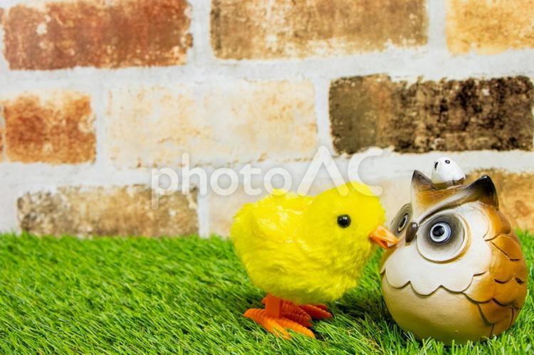 ひよことふくろう ひよこ,フクロウ,小物の写真素材