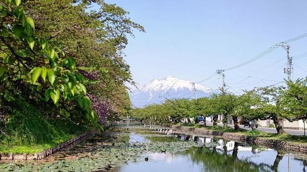 弘前公園周辺 弘前公園,岩木山,青空の写真素材