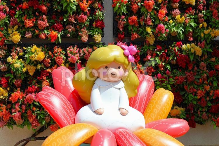 ７月中旬のさぬきフラワーガーデンの花 人形,花,植物の写真素材