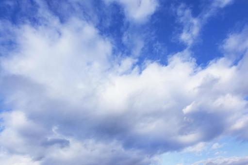 秋の空48 秋の空48の写真