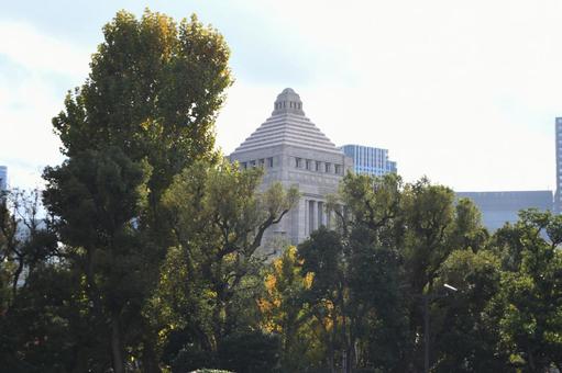 国会議事堂 国会議事堂,議事堂,国会の写真素材