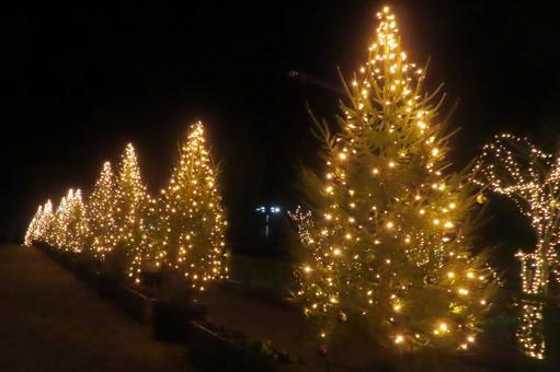 イルミネーションの写真